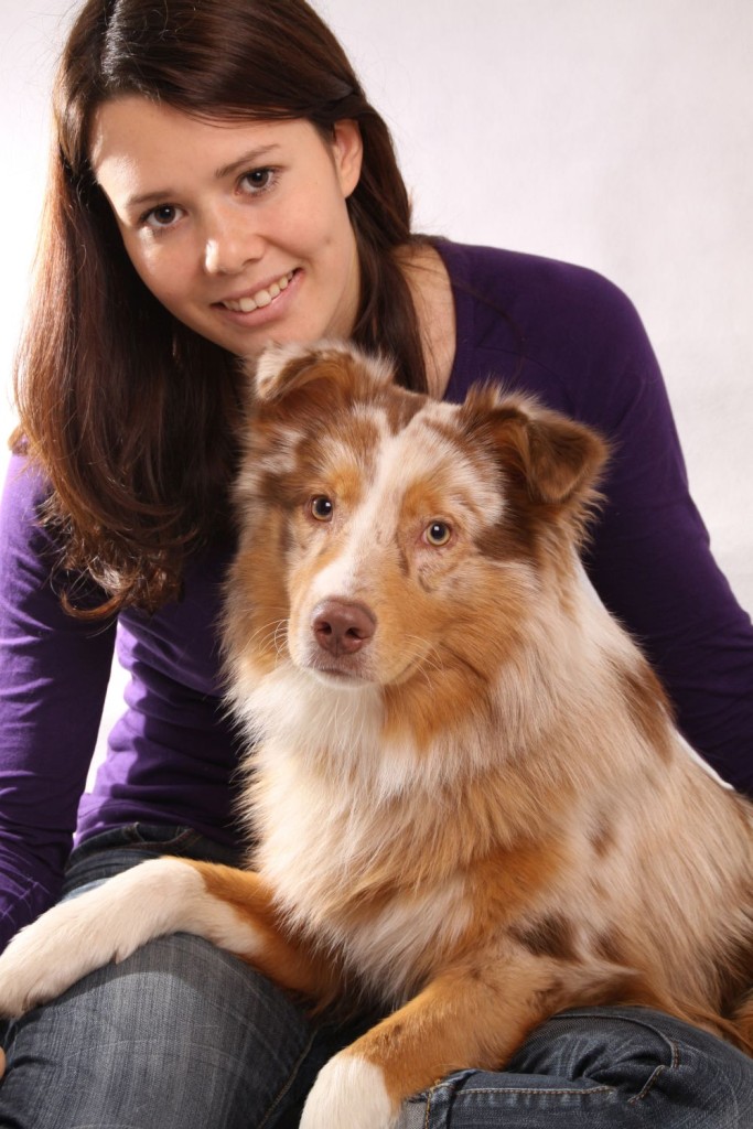 Australian Shepherd mit junger Frau