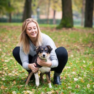 Muss es immer ein reinrassiger Australian Shepherd sein?