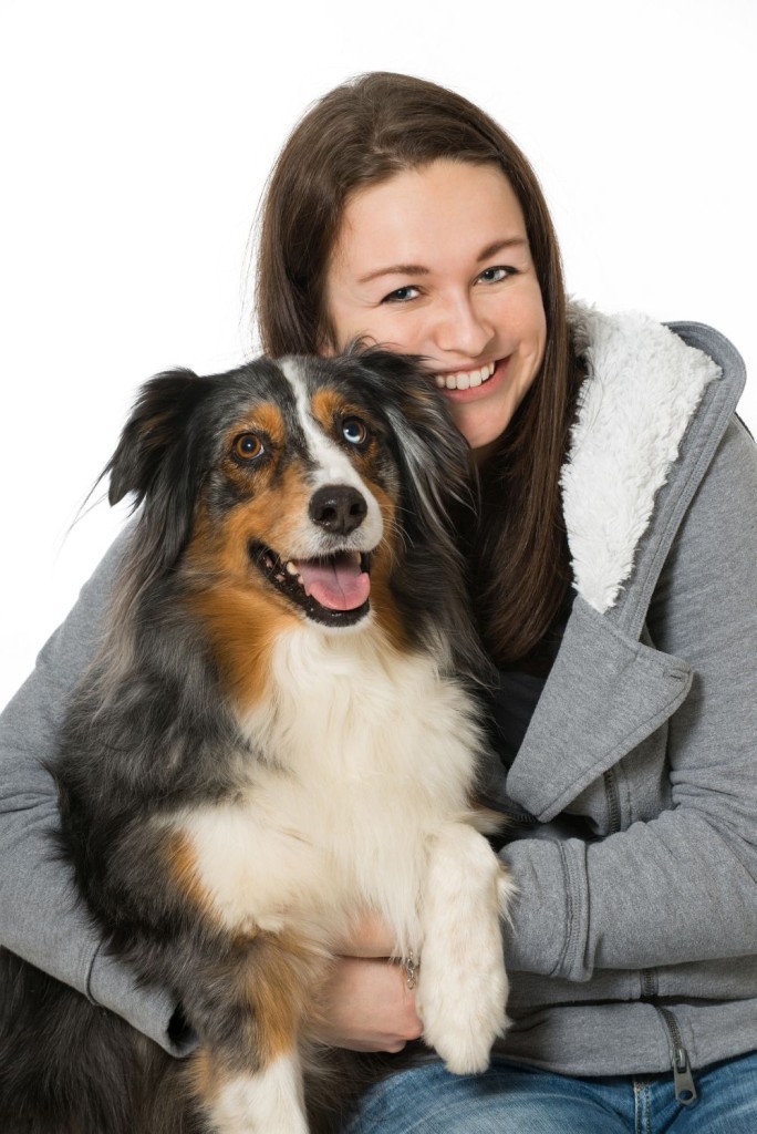 Ein treuer Freund: der Australian Shepherd