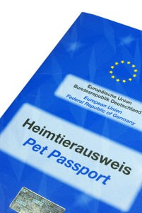 EU Heimtierausweis Australian Shepherd