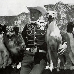 australian shepherd geschichte
