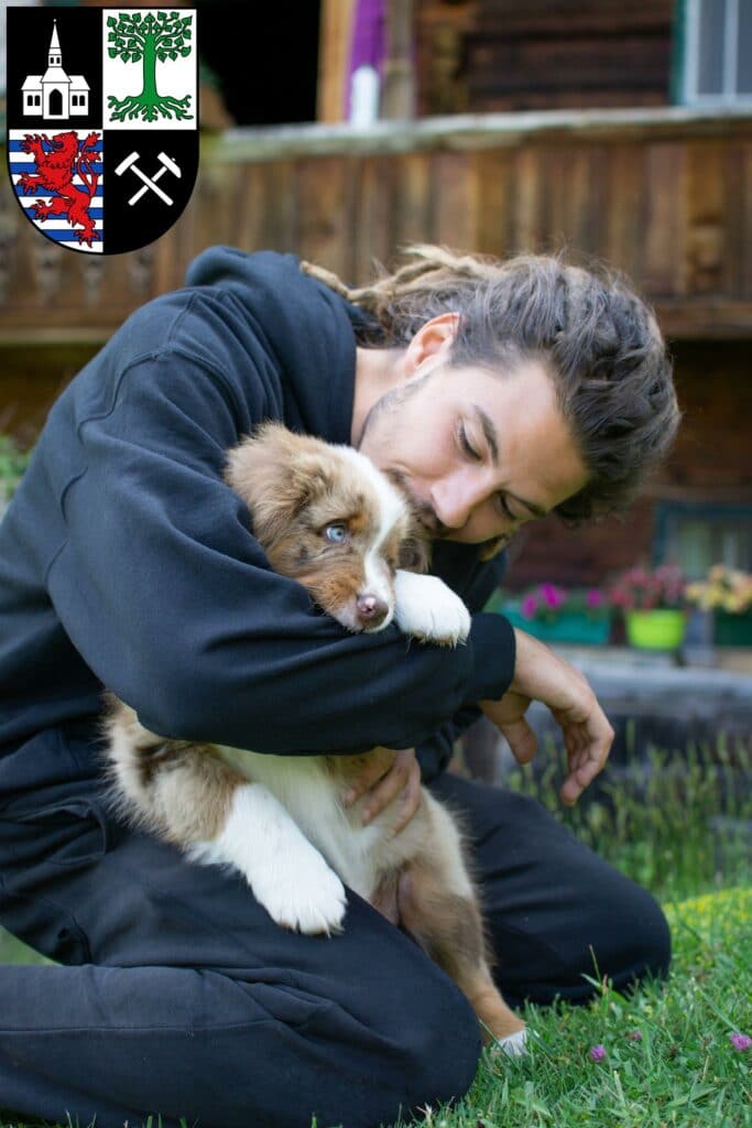 Australian Shepherd Züchter mit Welpen Gelsenkirchen, Nordrhein-Westfalen