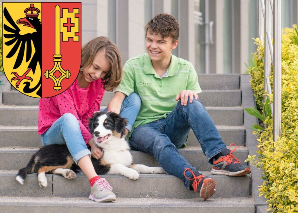 Australian Shepherd Züchter mit Welpen Genf, Schweiz