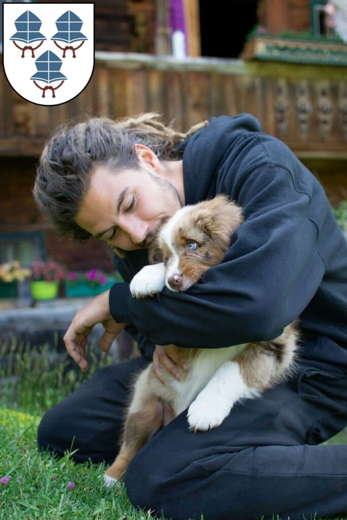 Australian Shepherd Züchter mit Welpen Landshut, Bayern