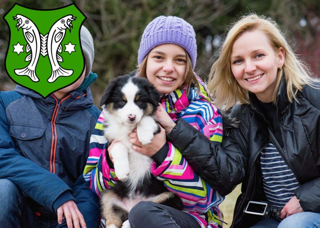 Australian Shepherd Züchter mit Welpen Saalfeld/Saale, Thüringen