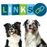 Australian Shepherd Links - Interessante Webseiten rund um den Australian Shepherd