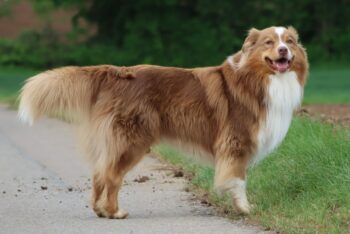 Miniaturansicht für das Anzeigenbild