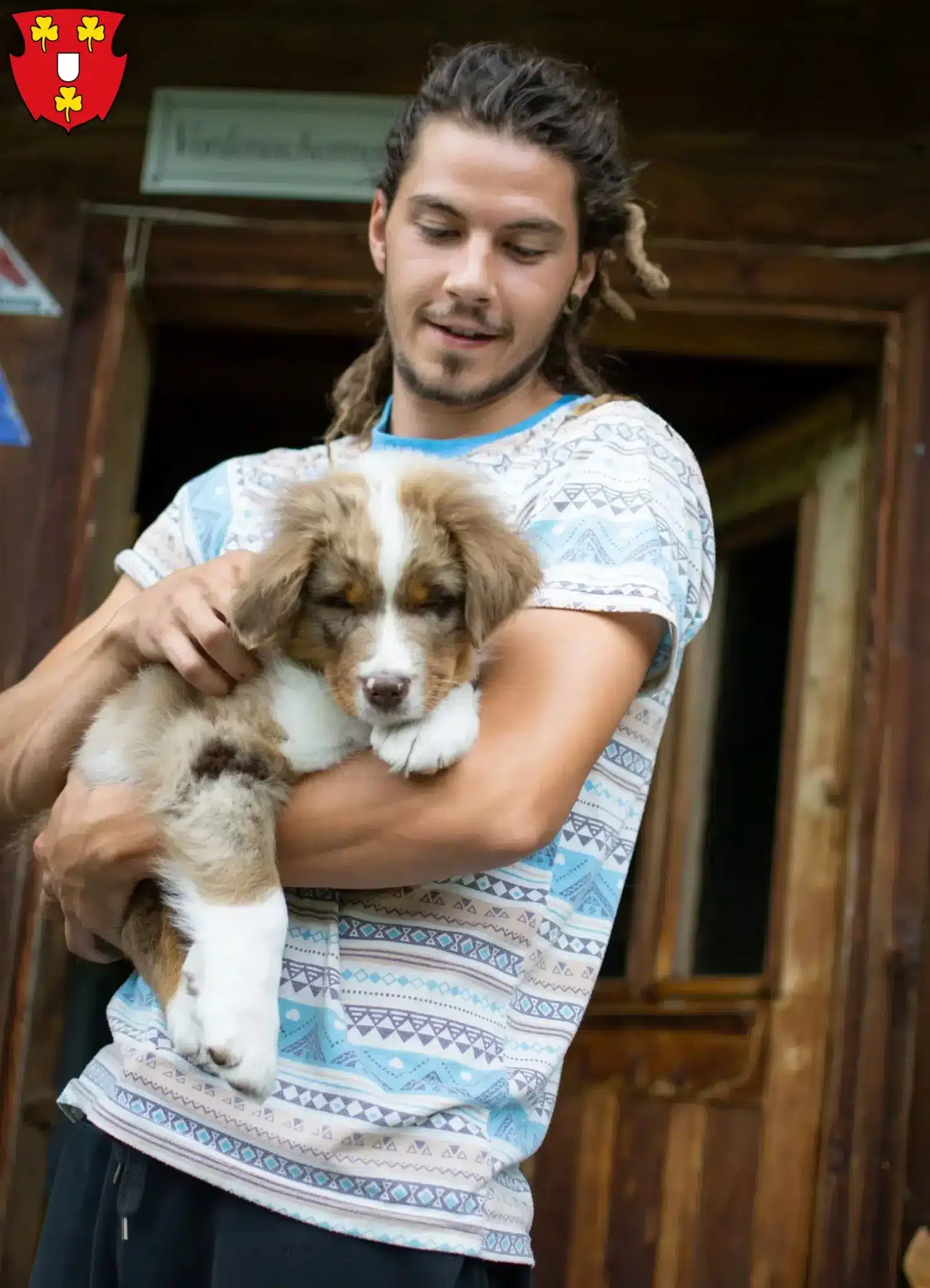 Mehr über den Artikel erfahren Australian Shepherd Züchter und Welpen in Kleve