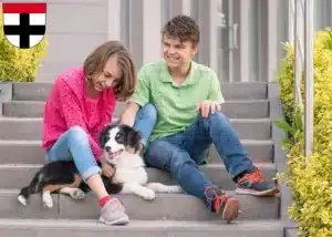 Mehr über den Artikel erfahren Australian Shepherd Züchter und Welpen in Konstanz