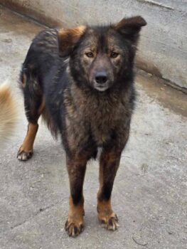 Miniaturansicht für das Anzeigenbild