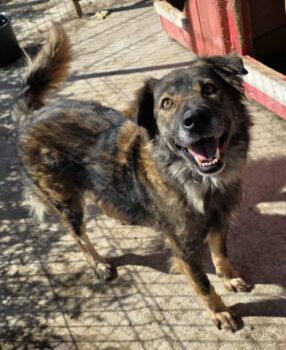 Miniaturansicht für das Anzeigenbild