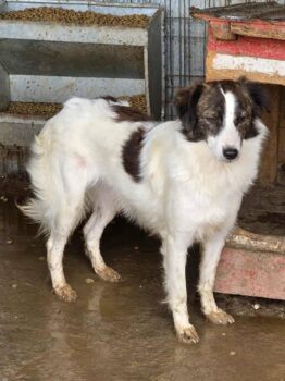 Miniaturansicht für das Anzeigenbild