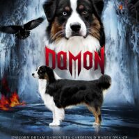 Australian Shepherd Deckrüde Blue Eye | ASCA oder FCI | Import Frankreich