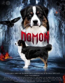 Miniaturansicht für das Anzeigenbild