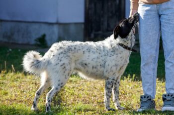 Miniaturansicht für das Anzeigenbild