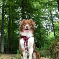 Marla sucht ein neues liebevolles Zuhause