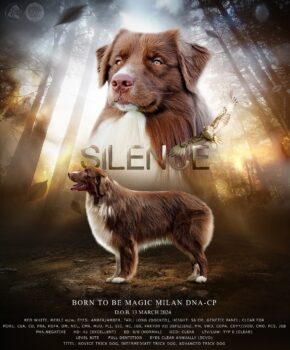 Miniaturansicht für das Anzeigenbild