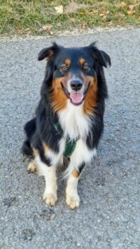 Miniaturansicht für das Anzeigenbild