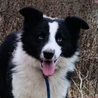 Jung, klein, weiblich, black-bi sucht liebevollen Freizeitpartner