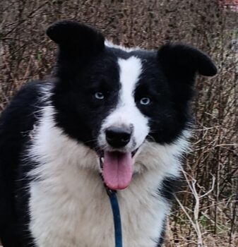 Jung, klein, weiblich, black-bi sucht liebevollen Freizeitpartner